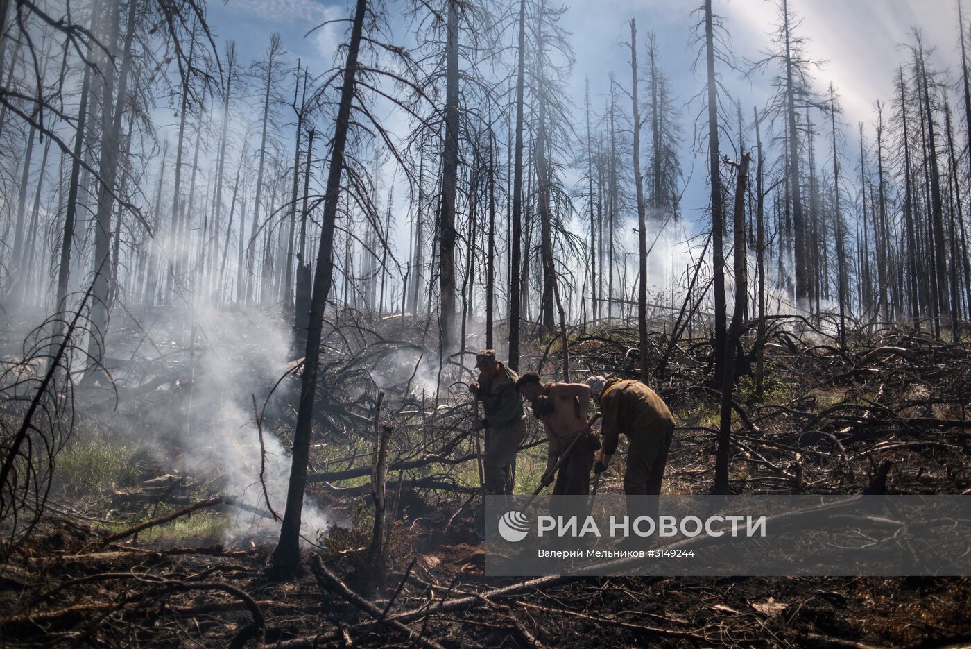 Последствия лесных пожаров в Бурятии