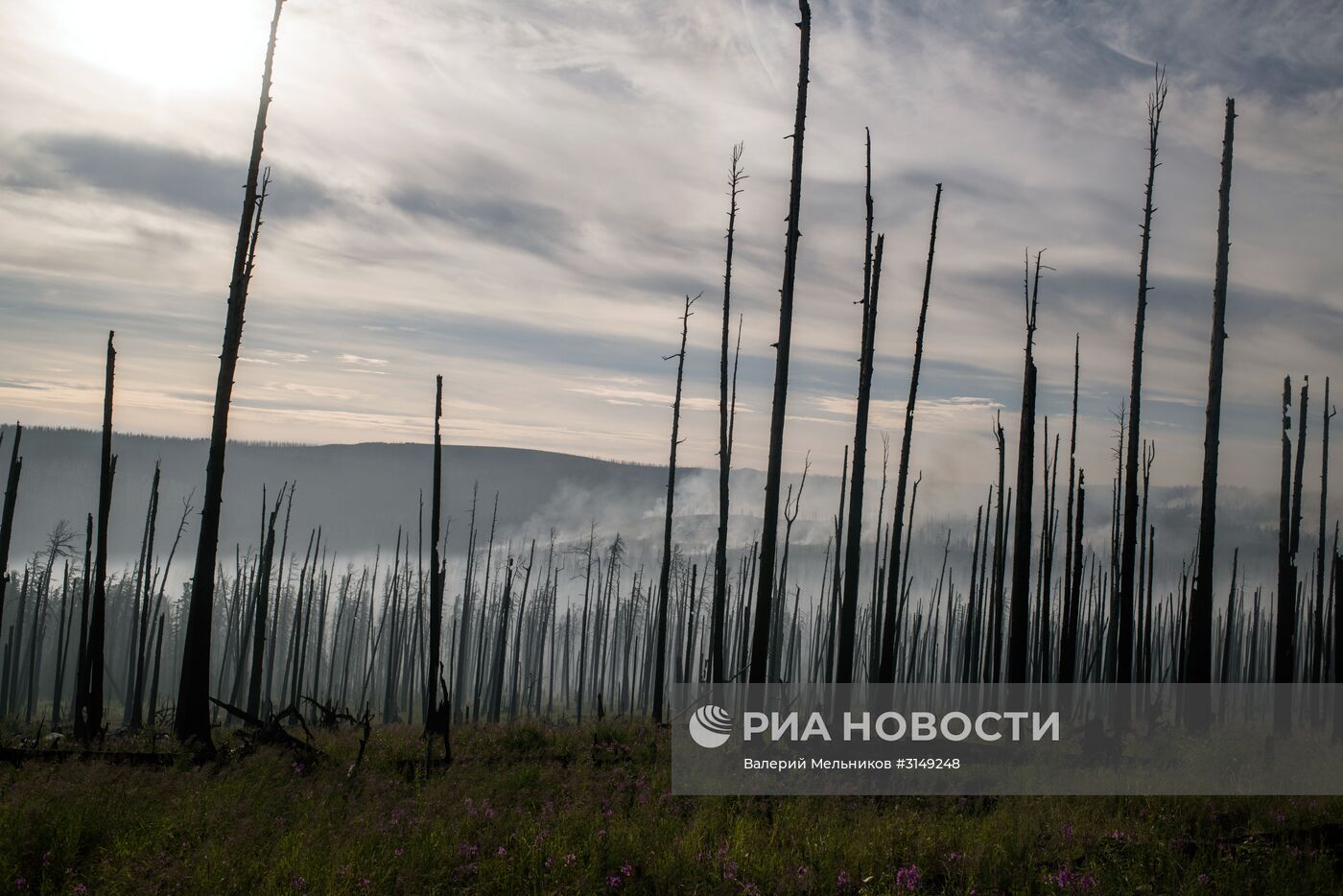 Последствия лесных пожаров в Бурятии