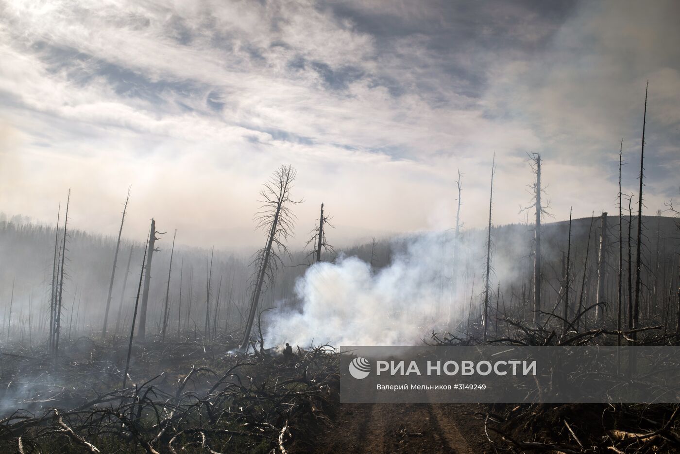 Последствия лесных пожаров в Бурятии