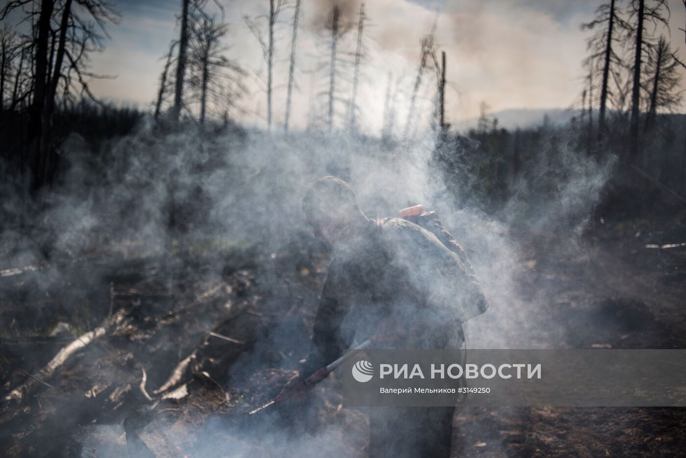 Последствия лесных пожаров в Бурятии