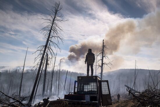Последствия лесных пожаров в Бурятии