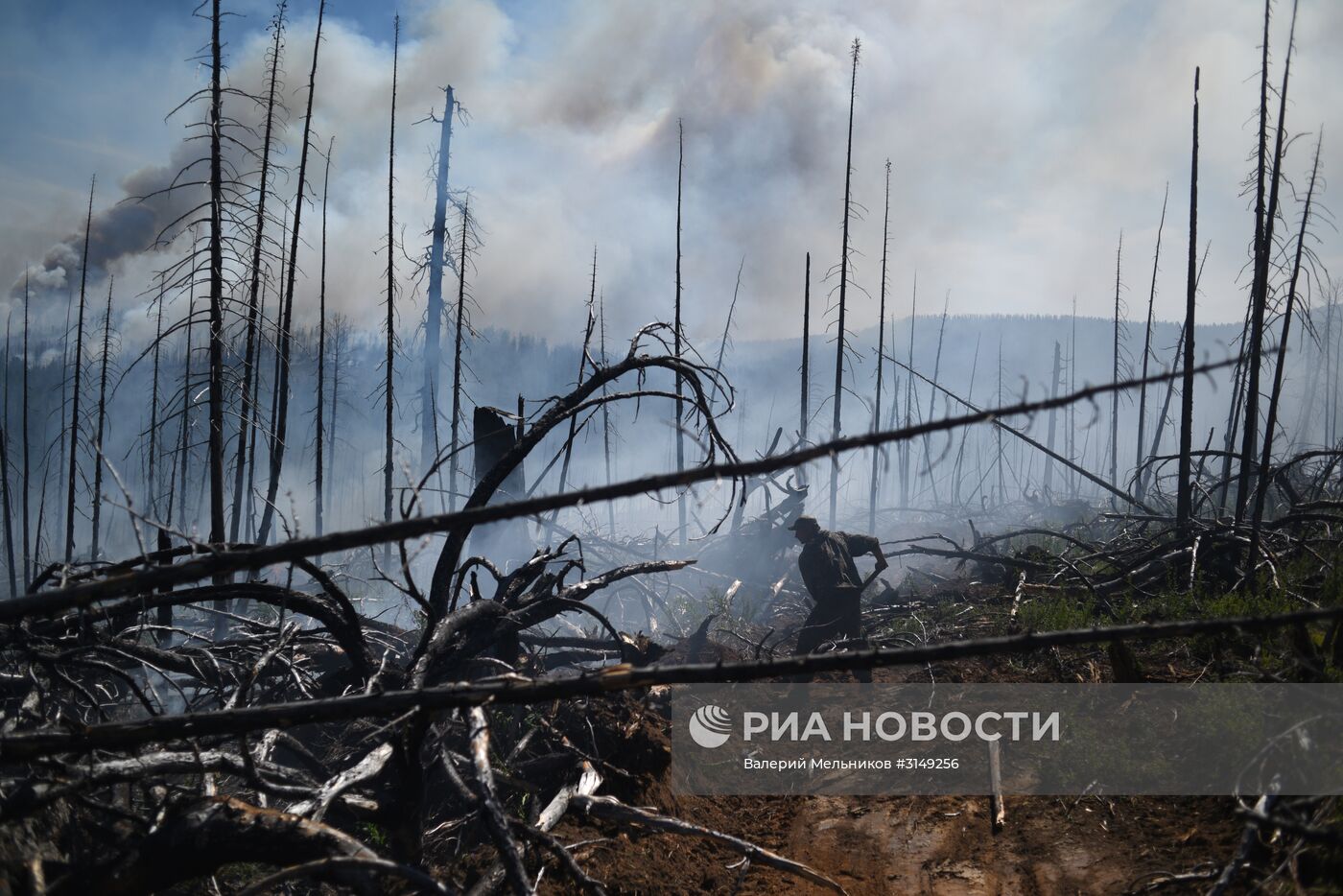 Последствия лесных пожаров в Бурятии