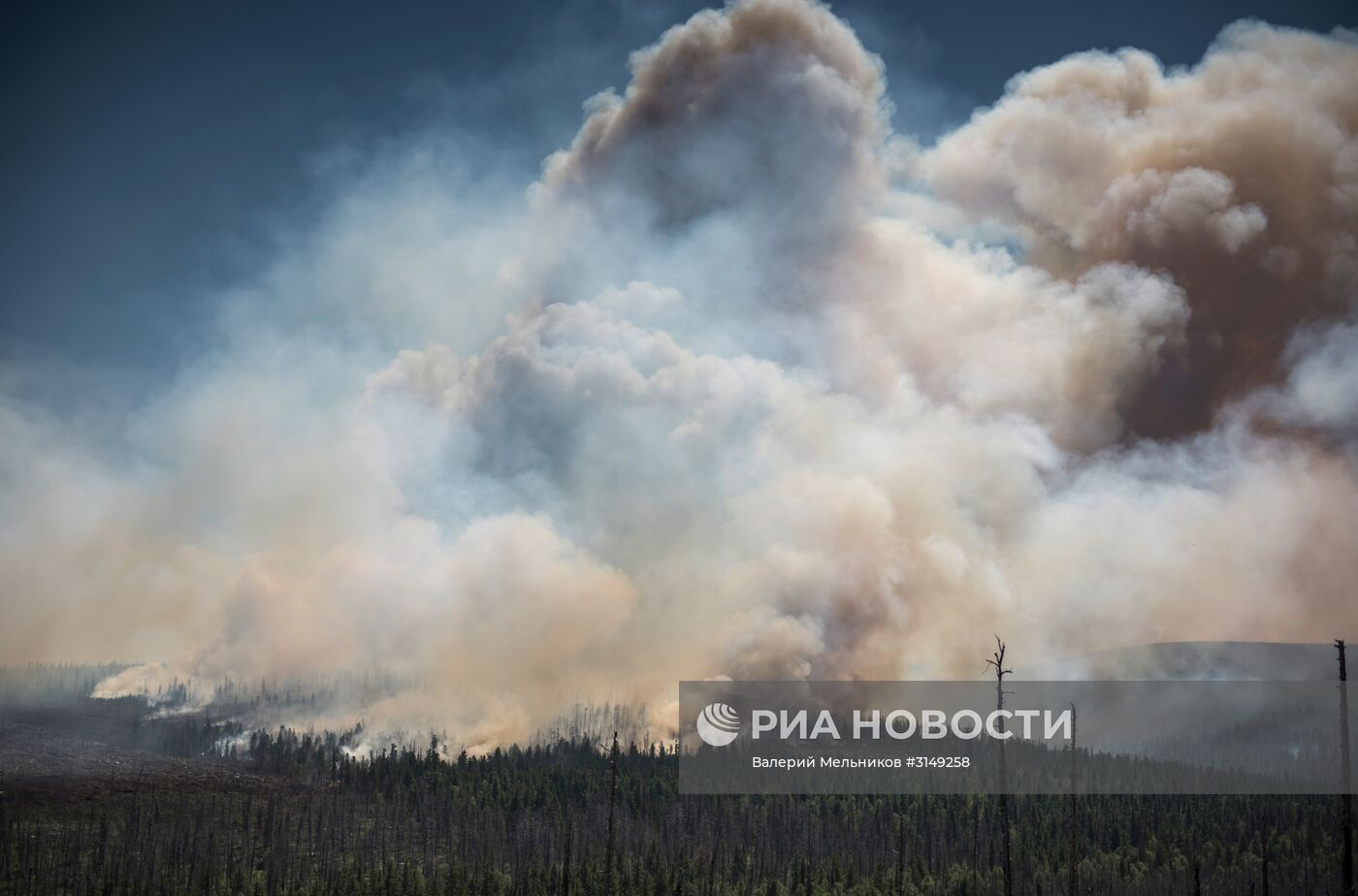 Последствия лесных пожаров в Бурятии