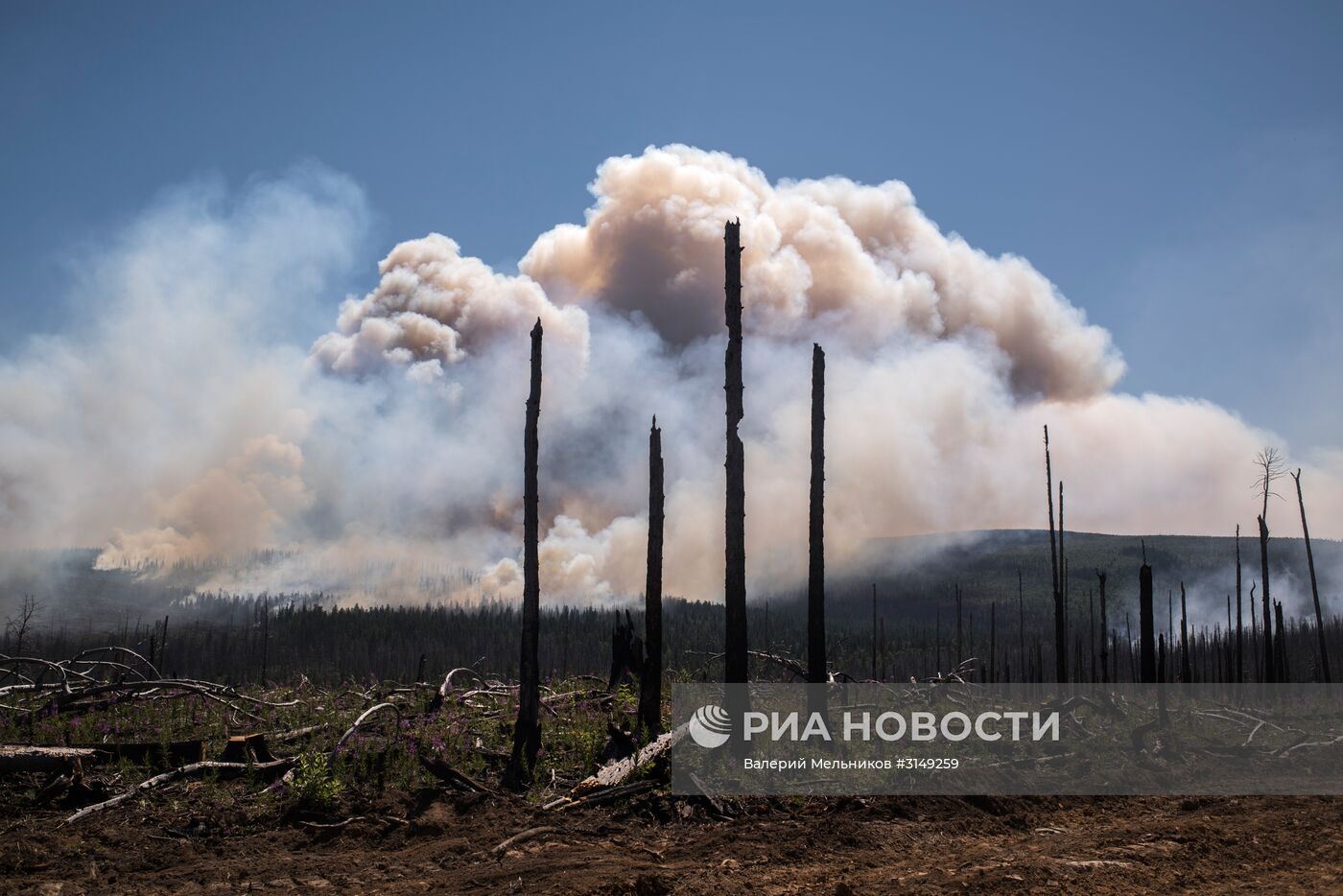 Последствия лесных пожаров в Бурятии