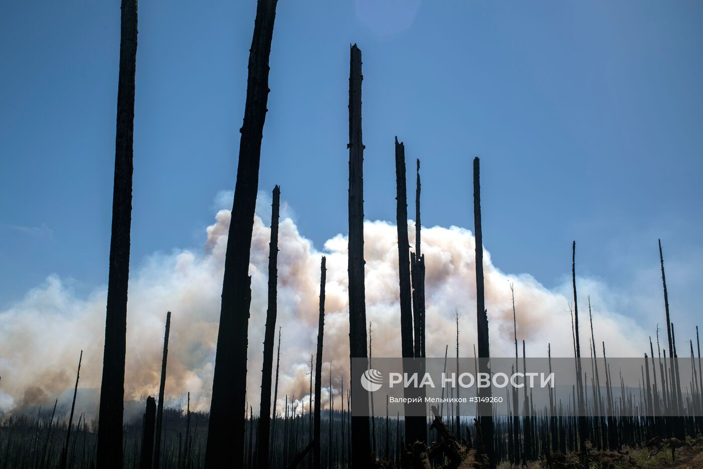 Последствия лесных пожаров в Бурятии