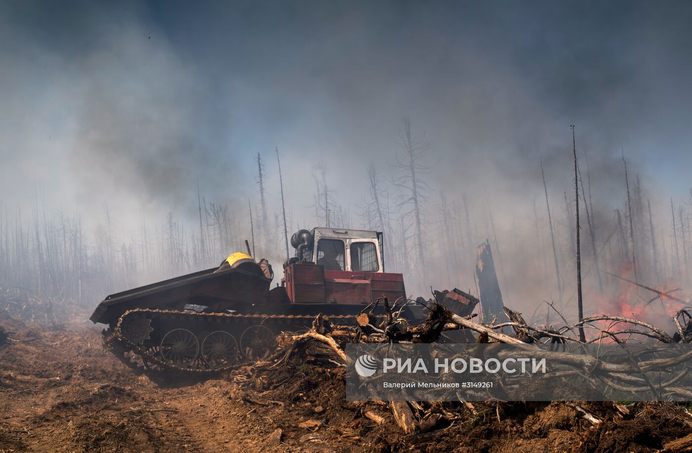 Последствия лесных пожаров в Бурятии