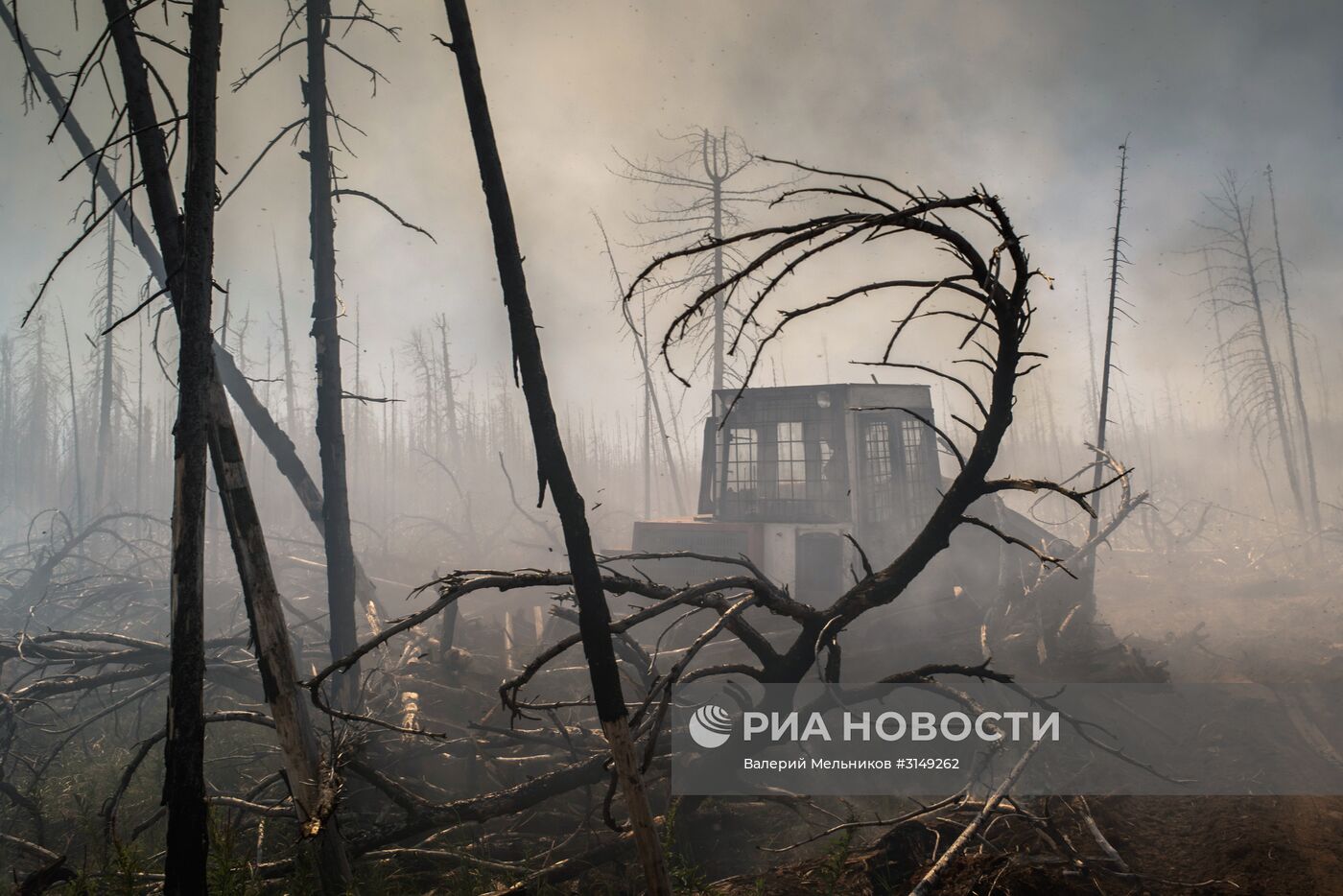 Последствия лесных пожаров в Бурятии