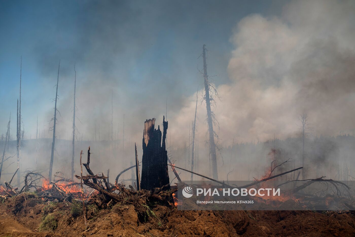 Последствия лесных пожаров в Бурятии