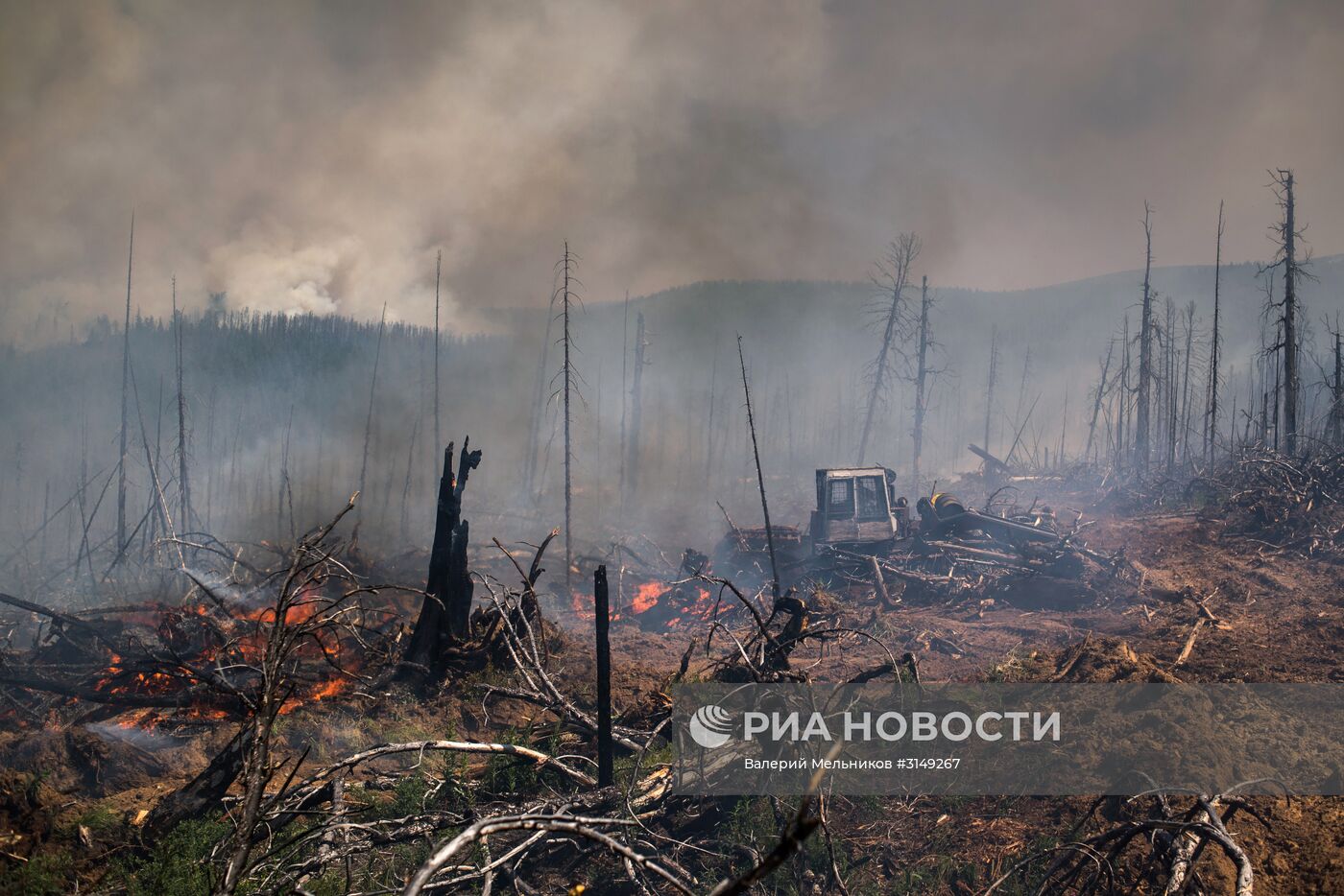 Последствия лесных пожаров в Бурятии