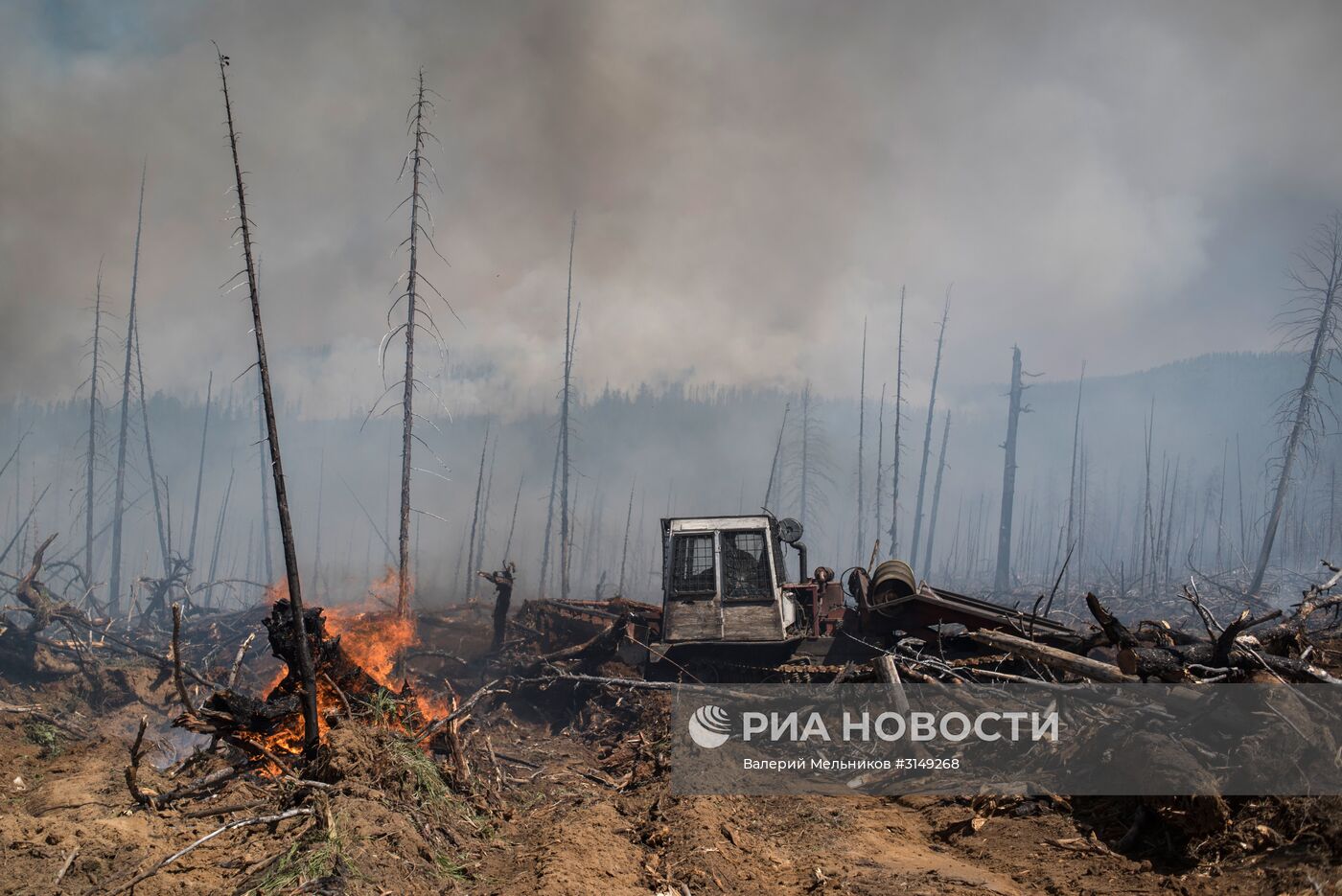 Последствия лесных пожаров в Бурятии