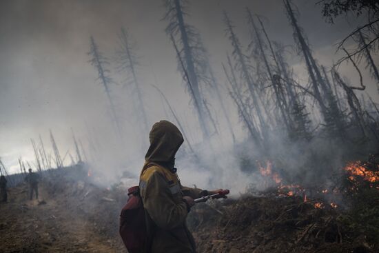 Последствия лесных пожаров в Бурятии