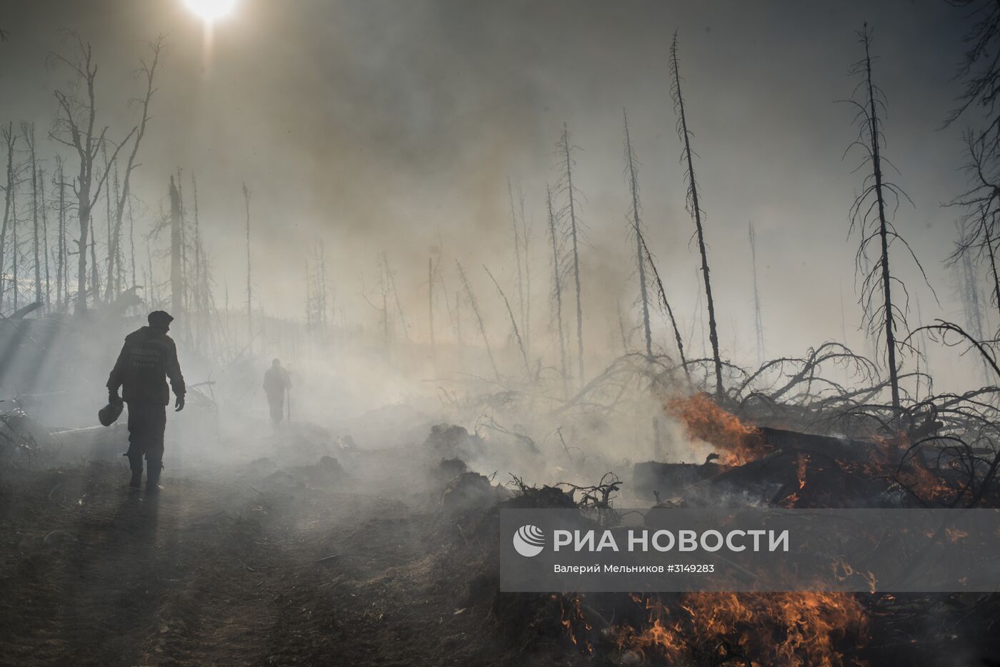 Последствия лесных пожаров в Бурятии