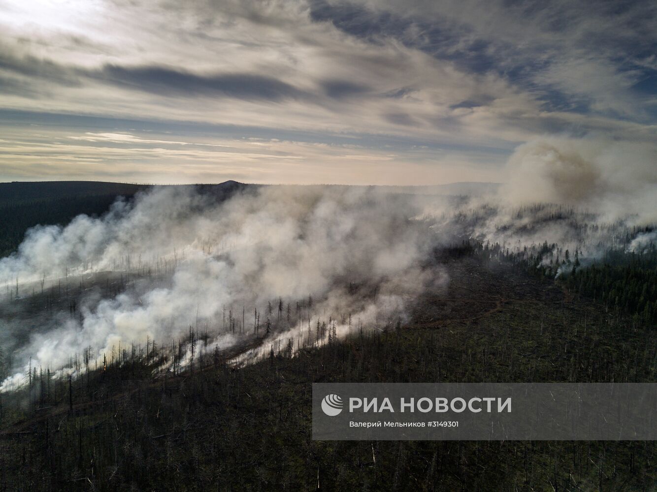 Последствия лесных пожаров в Бурятии