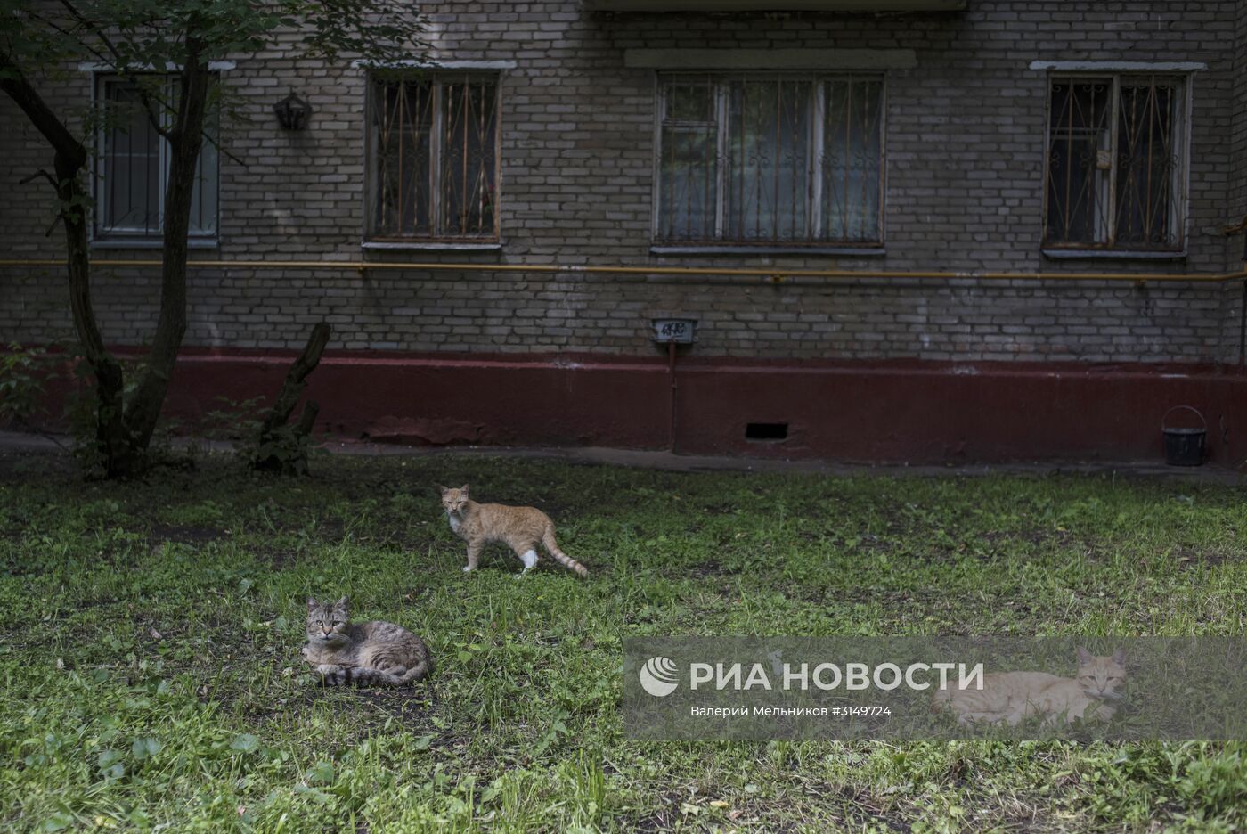 Реновация жилья в Москве