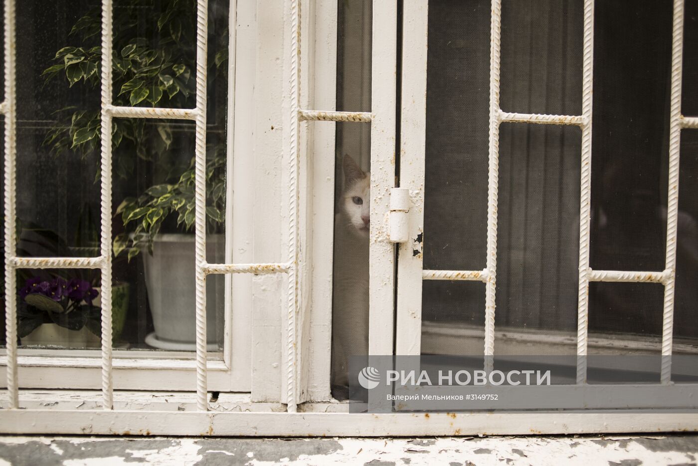 Реновация жилья в Москве