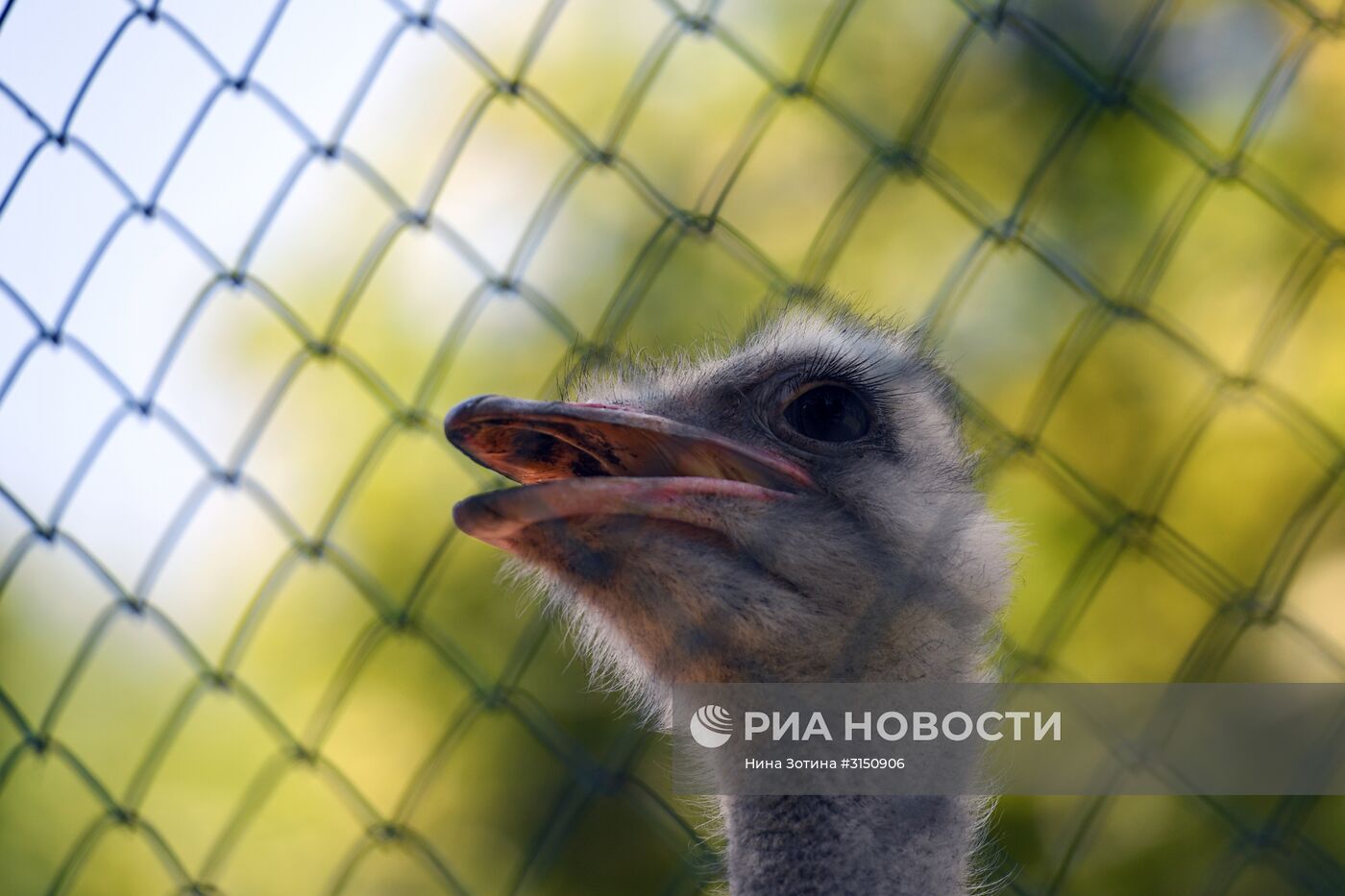 Парк "Дендрарий" в Сочи