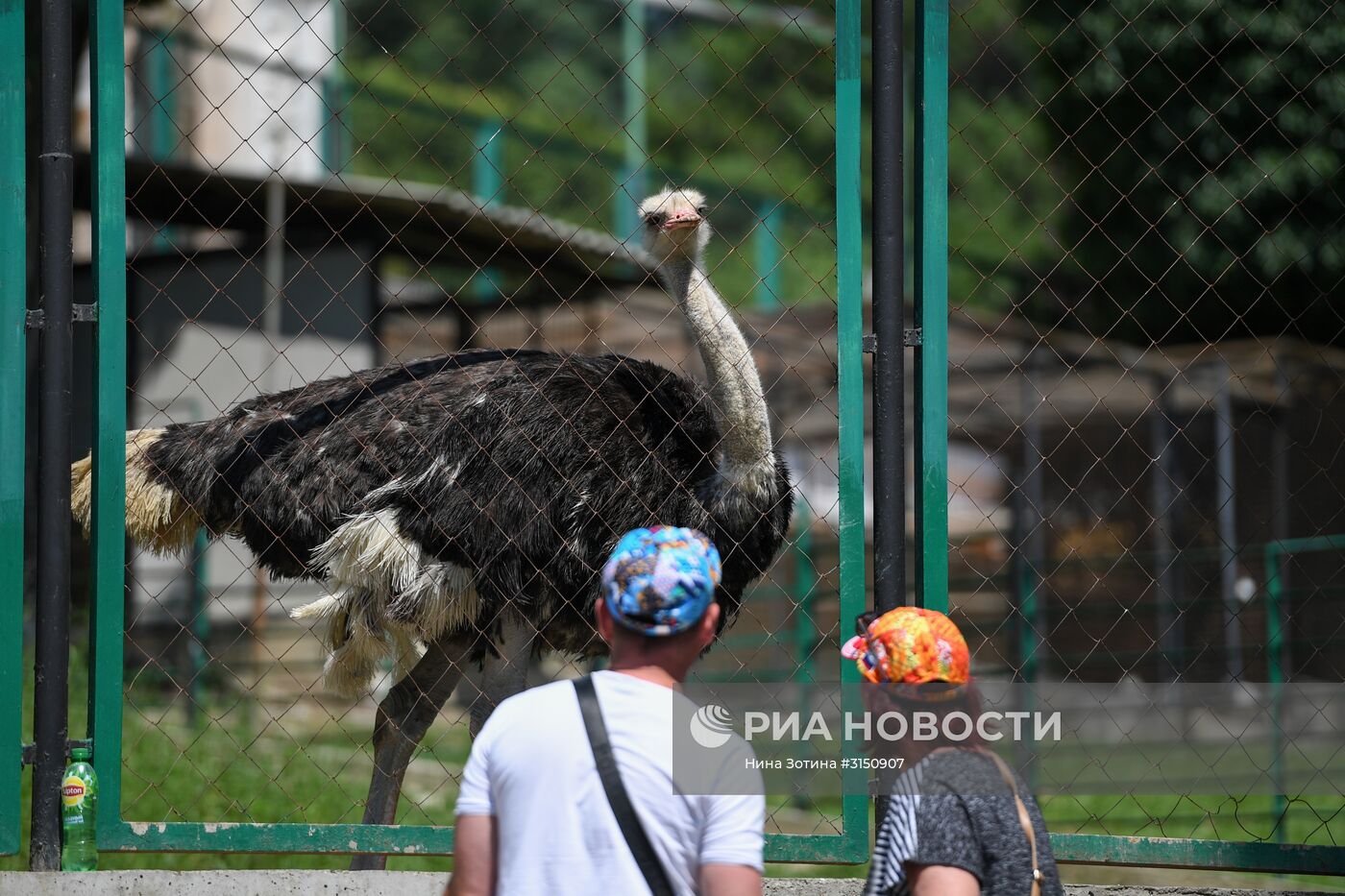 Парк "Дендрарий" в Сочи