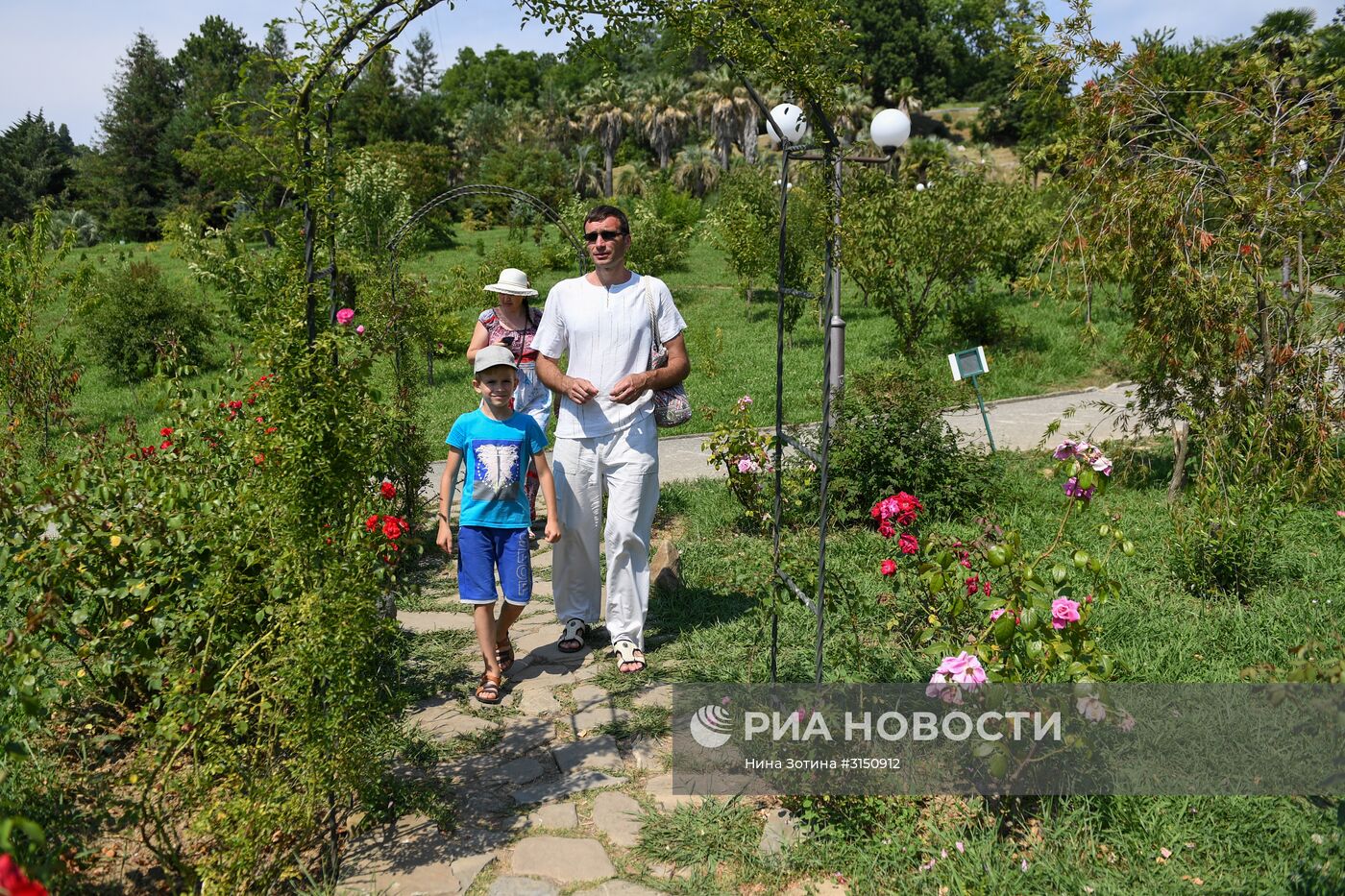 Парк "Дендрарий" в Сочи