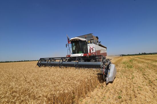 Уборка зерновых в Ставропольском крае