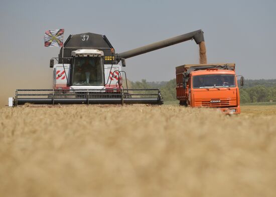 Уборка зерновых в Ставропольском крае