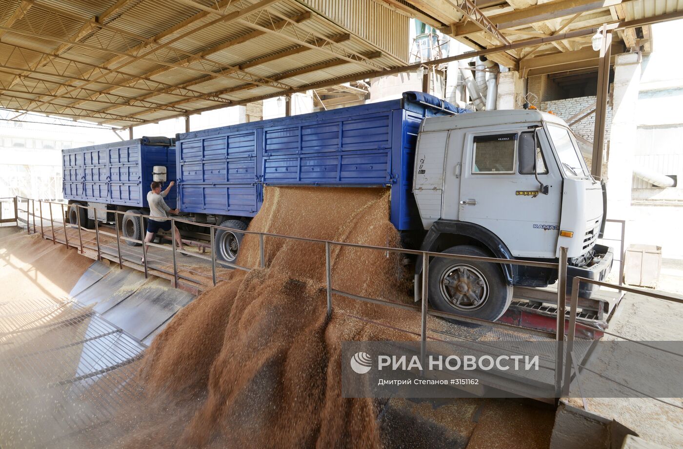 Уборка зерновых в Ставропольском крае