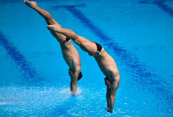 Чемпионат мира FINA 2017. Синхронные прыжки в воду. Мужчины. Трамплин 3 м. Финал