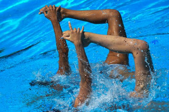Чемпионат мира FINA 2017. Синхронное плавание. Дуэт. Техническая программа. Финал