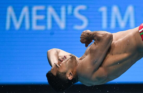 Чемпионат мира FINA 2017. Прыжки в воду. Мужчины. Трамплин 1 м. Финал