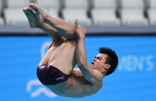 Чемпионат мира FINA 2017. Прыжки в воду. Мужчины. Трамплин 1 м. Финал