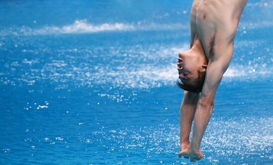 Чемпионат мира FINA 2017. Прыжки в воду. Мужчины. Трамплин 1 м. Финал