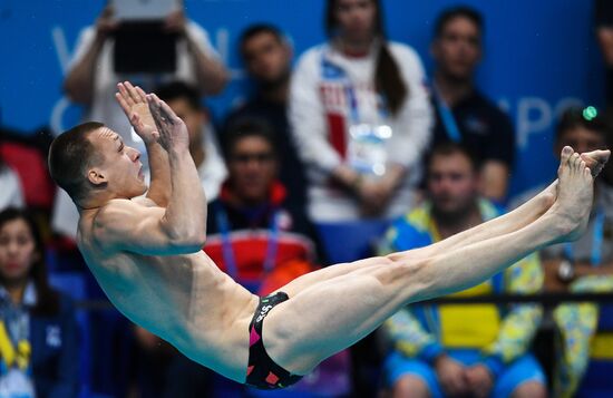 Чемпионат мира FINA 2017. Прыжки в воду. Мужчины. Трамплин 1 м. Финал