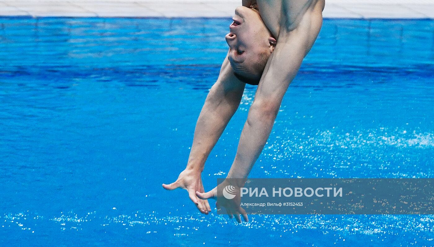 Чемпионат мира FINA 2017. Прыжки в воду. Мужчины. Трамплин 1 м. Финал