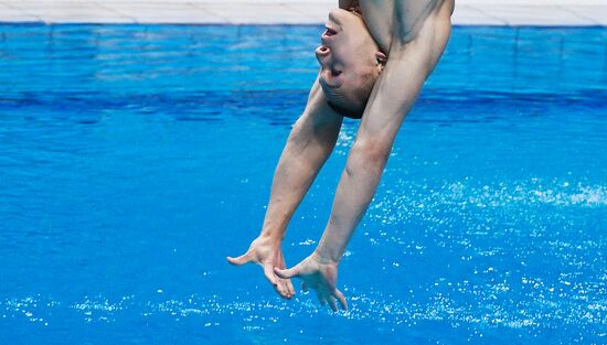 Чемпионат мира FINA 2017. Прыжки в воду. Мужчины. Трамплин 1 м. Финал