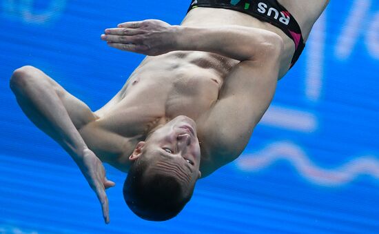 Чемпионат мира FINA 2017. Прыжки в воду. Мужчины. Трамплин 1 м. Финал