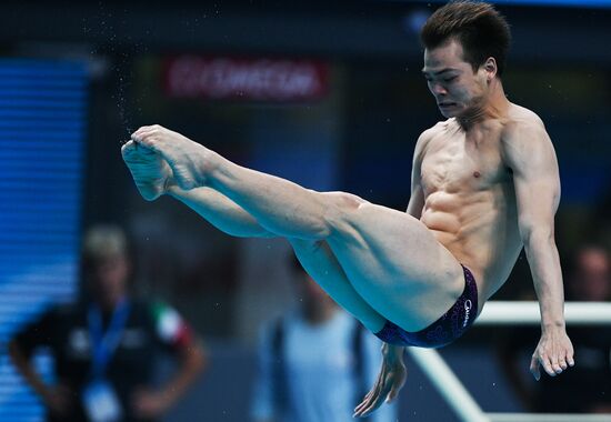 Чемпионат мира FINA 2017. Прыжки в воду. Мужчины. Трамплин 1 м. Финал