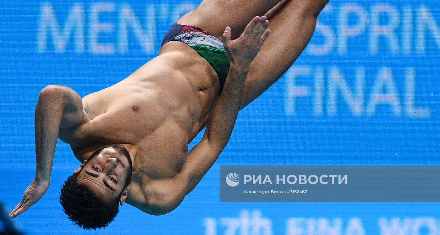 Чемпионат мира FINA 2017. Прыжки в воду. Мужчины. Трамплин 1 м. Финал