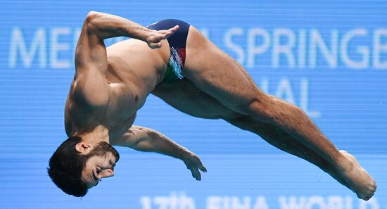 Чемпионат мира FINA 2017. Прыжки в воду. Мужчины. Трамплин 1 м. Финал