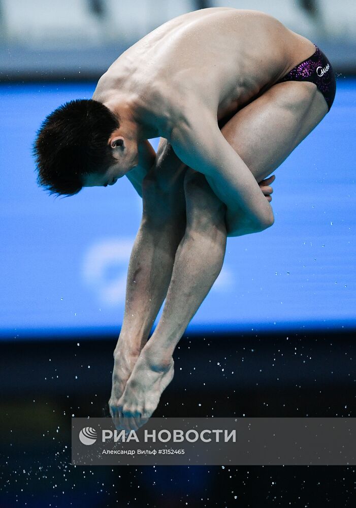 Чемпионат мира FINA 2017. Прыжки в воду. Мужчины. Трамплин 1 м. Финал