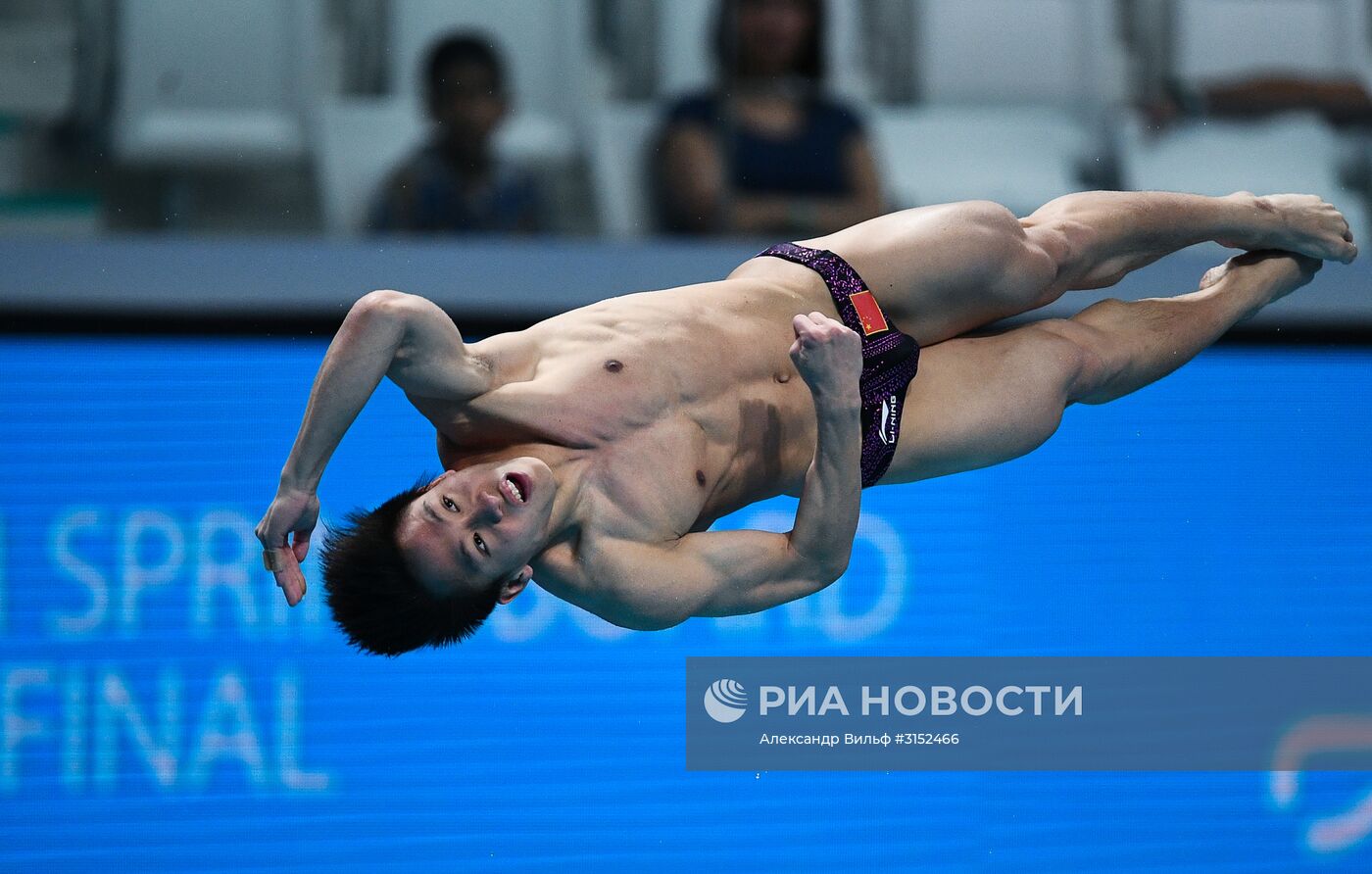 Чемпионат мира FINA 2017. Прыжки в воду. Мужчины. Трамплин 1 м. Финал