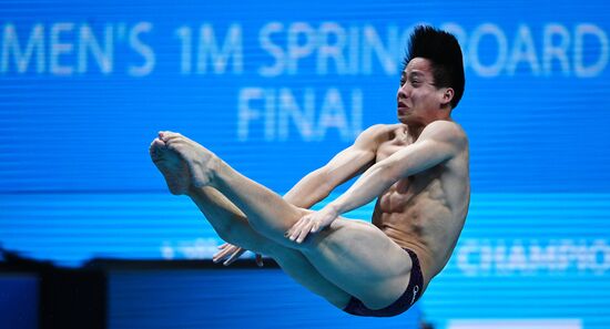 Чемпионат мира FINA 2017. Прыжки в воду. Мужчины. Трамплин 1 м. Финал