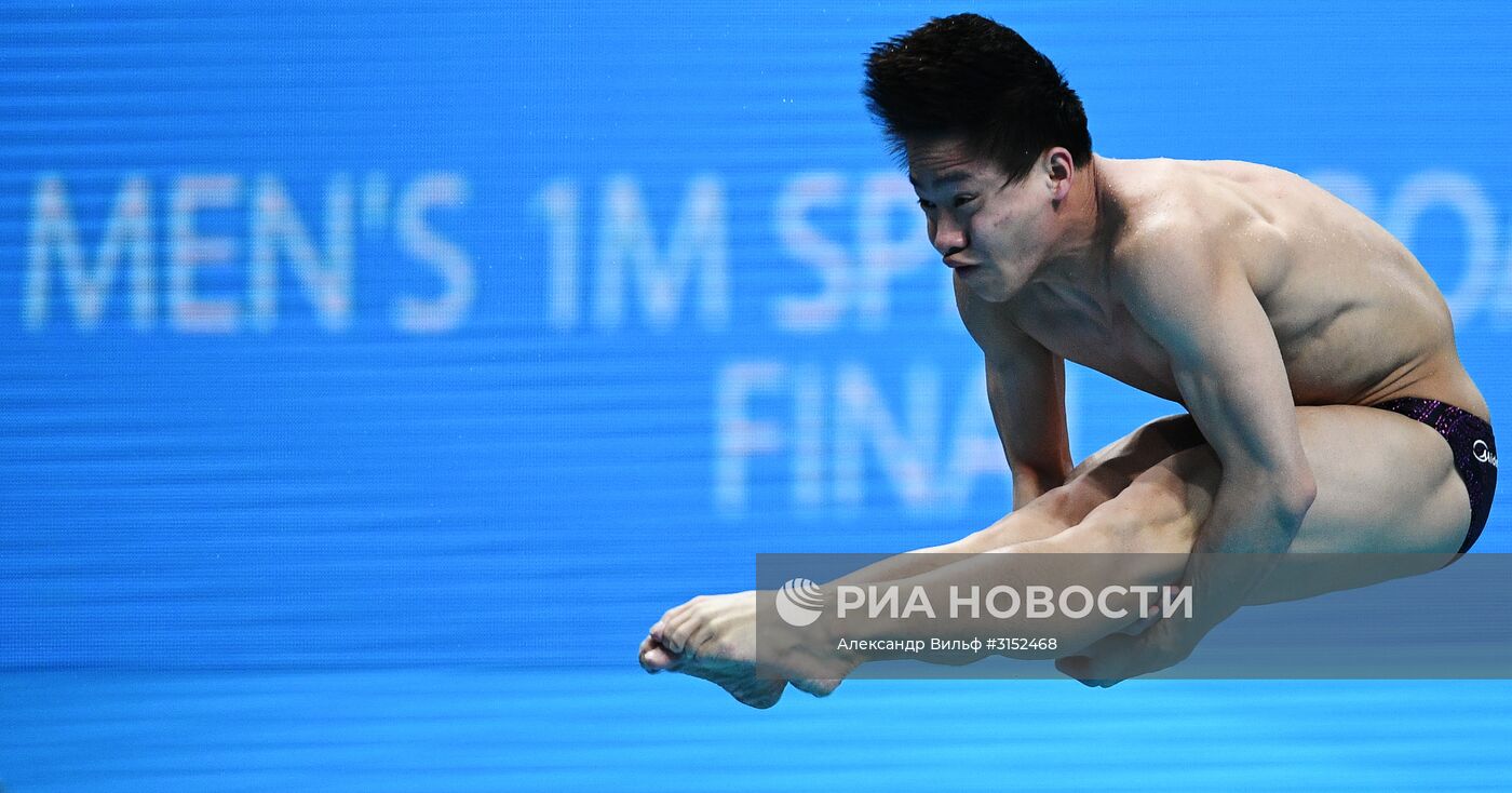 Чемпионат мира FINA 2017. Прыжки в воду. Мужчины. Трамплин 1 м. Финал