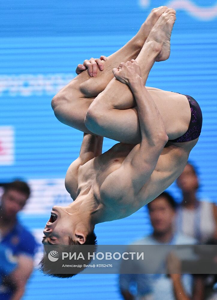 Чемпионат мира FINA 2017. Прыжки в воду. Мужчины. Трамплин 1 м. Финал