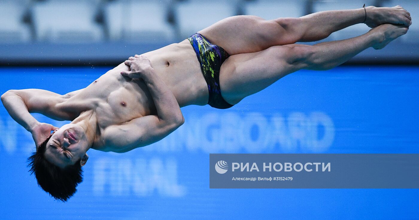 Чемпионат мира FINA 2017. Прыжки в воду. Мужчины. Трамплин 1 м. Финал