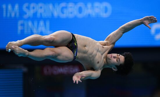 Чемпионат мира FINA 2017. Прыжки в воду. Мужчины. Трамплин 1 м. Финал