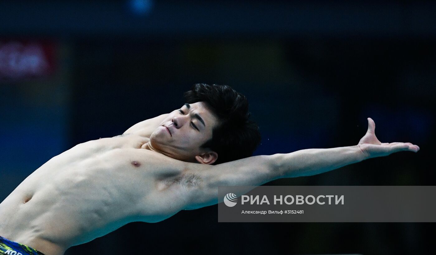 Чемпионат мира FINA 2017. Прыжки в воду. Мужчины. Трамплин 1 м. Финал