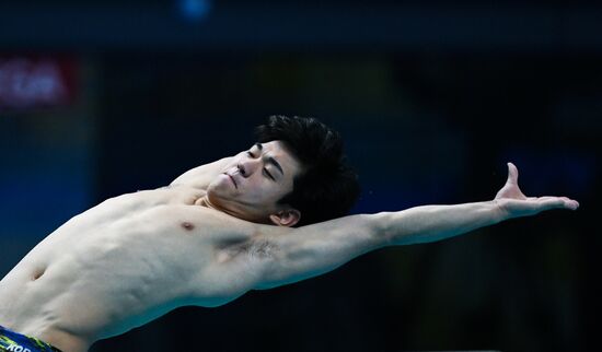 Чемпионат мира FINA 2017. Прыжки в воду. Мужчины. Трамплин 1 м. Финал