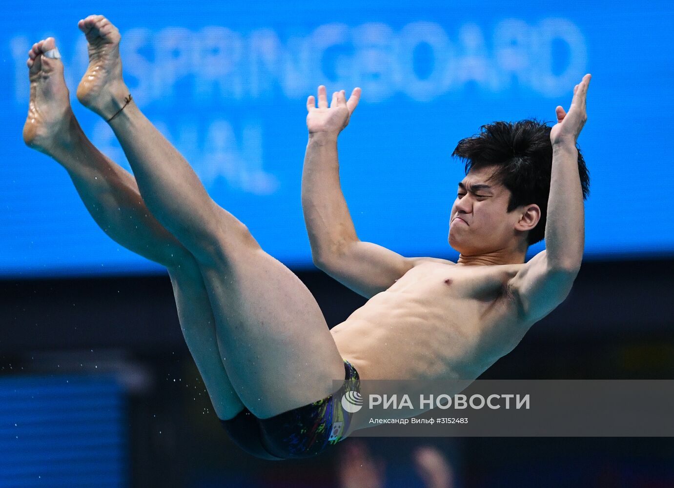 Чемпионат мира FINA 2017. Прыжки в воду. Мужчины. Трамплин 1 м. Финал