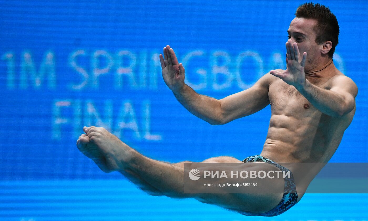 Чемпионат мира FINA 2017. Прыжки в воду. Мужчины. Трамплин 1 м. Финал