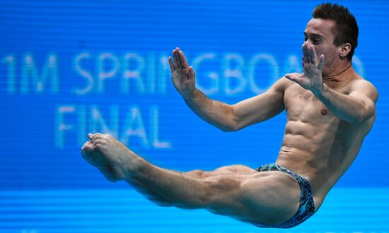 Чемпионат мира FINA 2017. Прыжки в воду. Мужчины. Трамплин 1 м. Финал