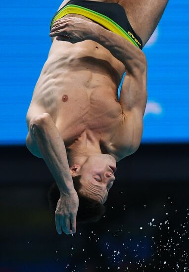 Чемпионат мира FINA 2017. Прыжки в воду. Мужчины. Трамплин 1 м. Финал